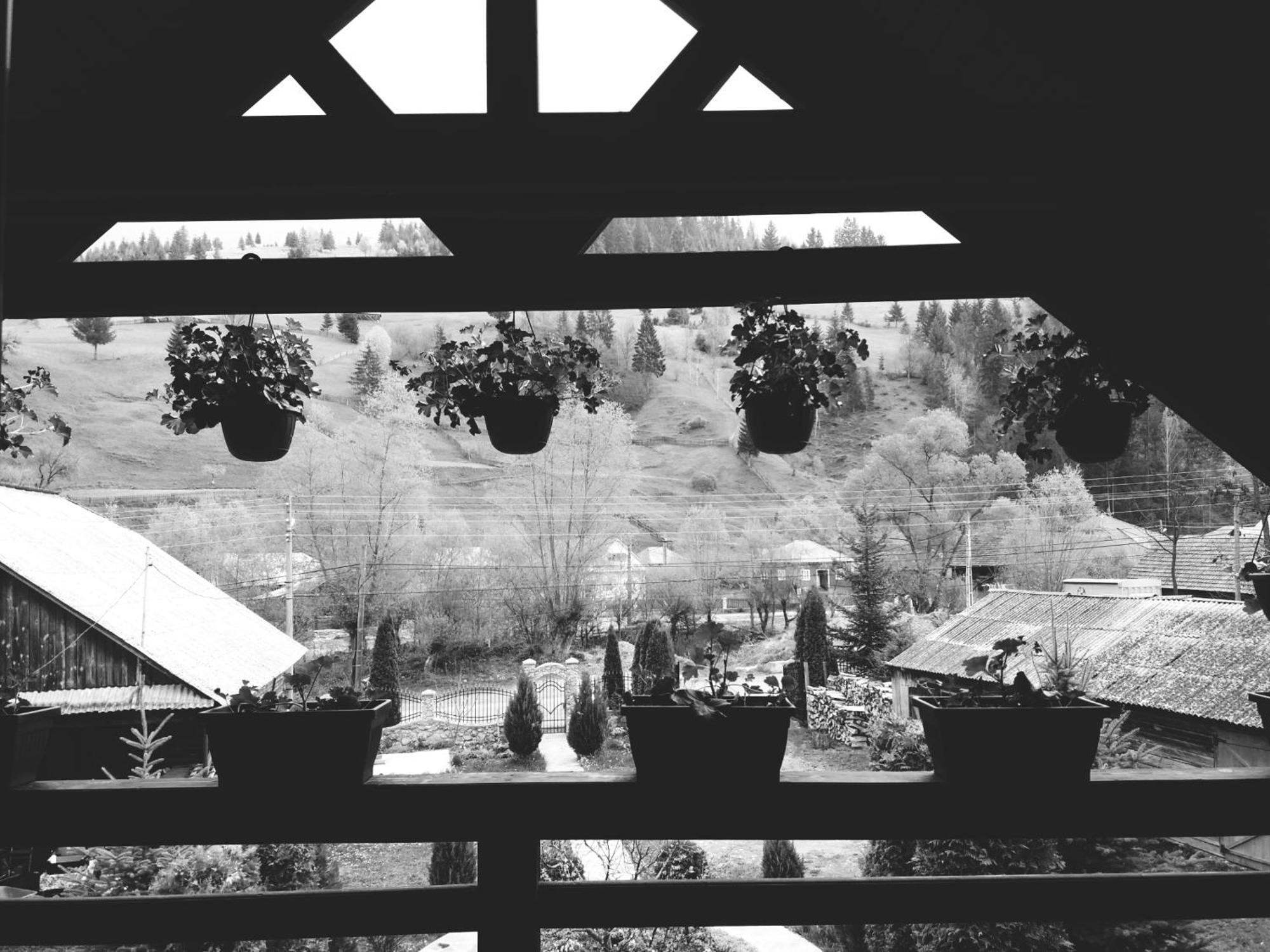 Casa Lucia *
