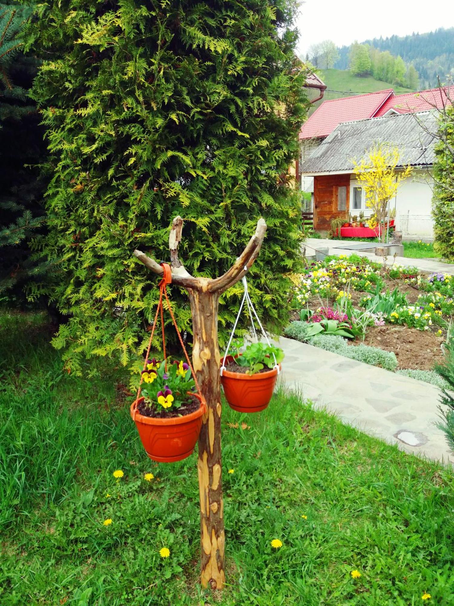 Guest house Casa Lucia Damuc